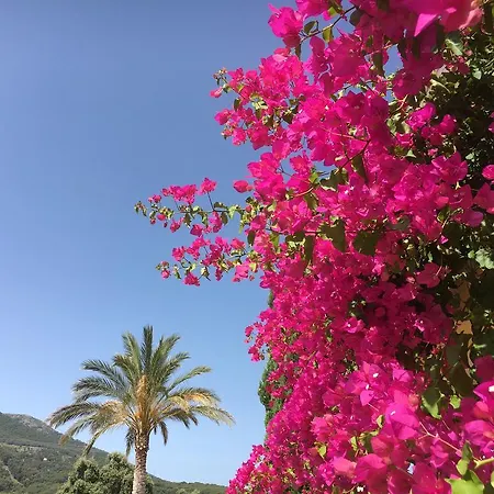 公寓 芬卡索瑞萨住宿加早餐旅馆