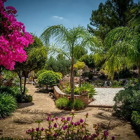 芬卡索瑞萨住宿加早餐旅馆 阿尔豪林格朗德
